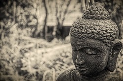 buddha statue